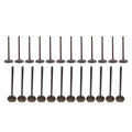 DNJ VK24263A Exhaust Intake Valve Kit Fits Cars & Trucks 01-20 Honda Acura V6 3.5L SOHC 24V Fits select: 2009-2019 HONDA PILOT, 2008-2019 HONDA ODYSSEY