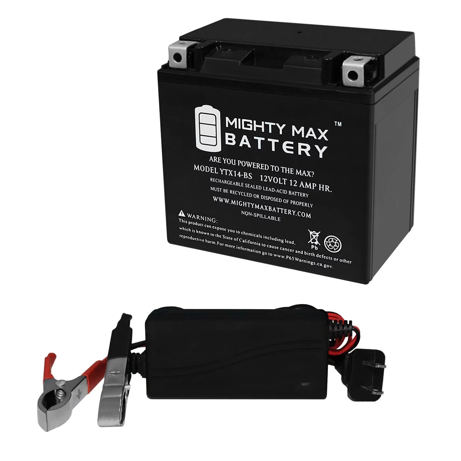 YTX14-BS Battery Replaces Buell Blast 500CC 00-09 + 12V 1Amp Charger