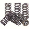 EBC Brakes  CSK25; Clutch Springs