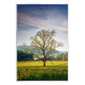 Stupell Lone Tree Wildflower Meadow Landscape Photography Wall Plaque Unframed Art Print Wall Art