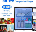 Smad Mini Fridge with Lock Compact Refrigerator for Bedroom Dorm Office No Noise,12V/110V 1.0 Cubic Feet  Black 2-Way 12V Fridge Freightliner Cascadia Refrigerator RV Truck Cooler
