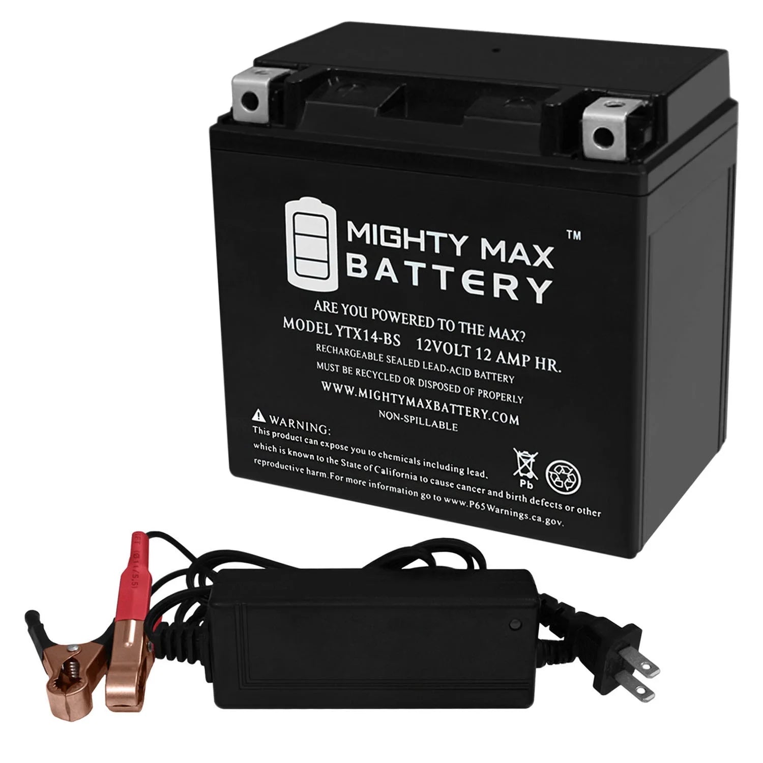 YTX14-BS Battery Replaces Buell Blast 500CC 00-09 + 12V 2Amp Charger