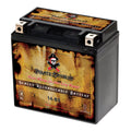 Pirate Battery YTX14-BS (14-BS 12 Volt,12 Ah, 200 CCA) Motorcycle Battery for Buell 500cc Blast 2000