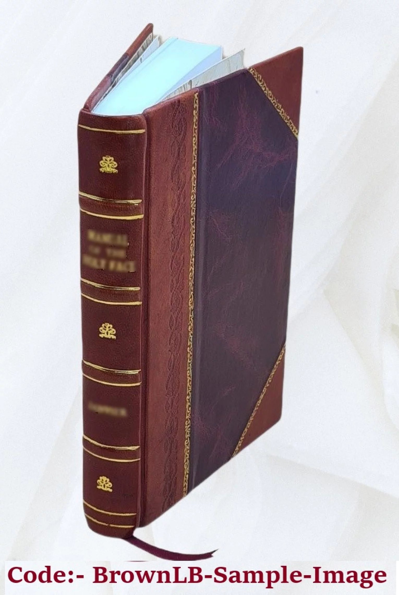 Dahomey as it is : being a narrative of eight months' residence in that country ... / by J.A. Skertchly. 1874 [Leather Bound]