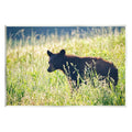 Stupell Baby Bear Tall Grassland Landscape Photography Wall Plaque Unframed Art Print Wall Art